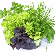 Пряні та зелень